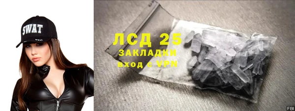 PSILOCYBIN Белокуриха