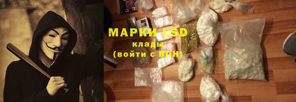 PSILOCYBIN Белокуриха