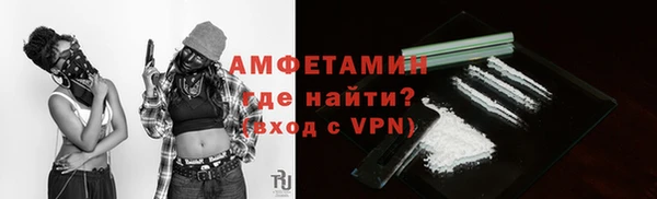 шишки Белоозёрский