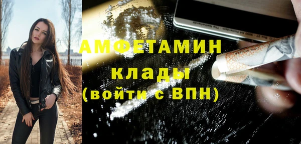 шишки Белоозёрский