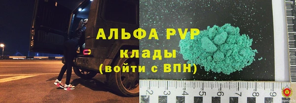 шишки Белоозёрский