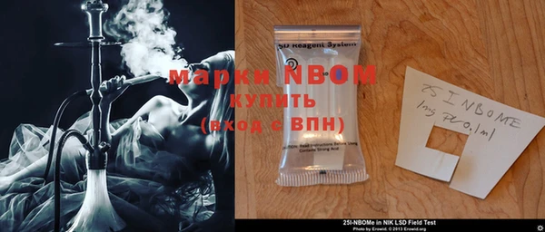 шишки Белоозёрский